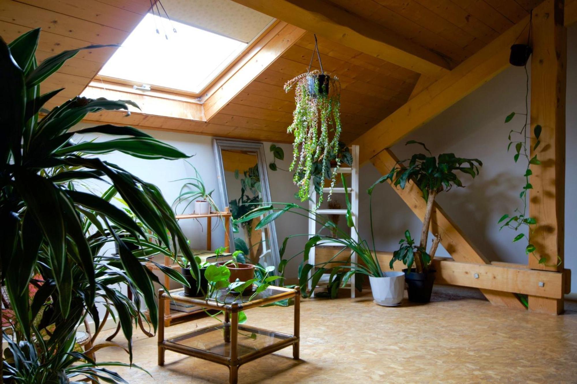 Loft Haut De Gamme Entre Verdure Et Ville Chaudefontaine  외부 사진